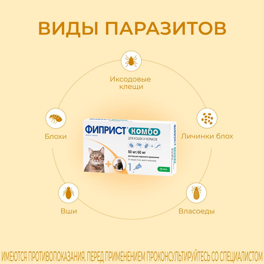 https://storage.yandexcloud.net/pim-core/316707.jpeg