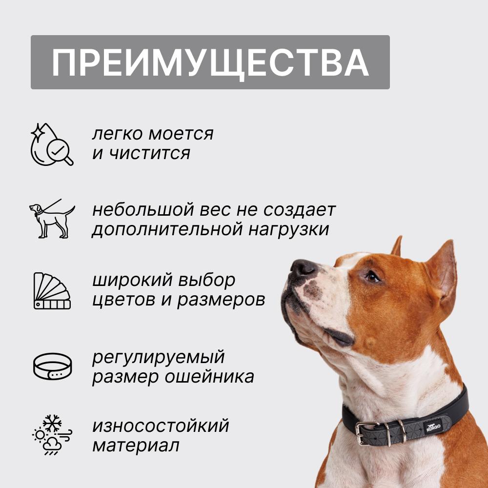 https://storage.yandexcloud.net/pim-core/319321.jpeg