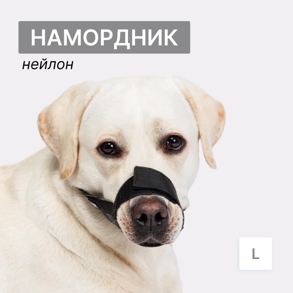 https://storage.yandexcloud.net/pim-core/320004.jpeg