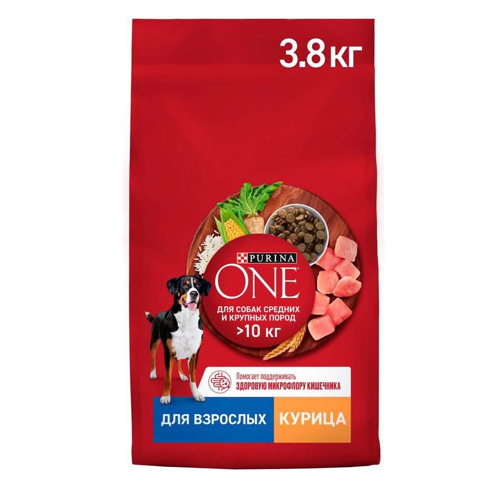 Purina ONE Сухой корм для взрослых собак средних и крупных пород, с курицей и рисом, 3,8 кг