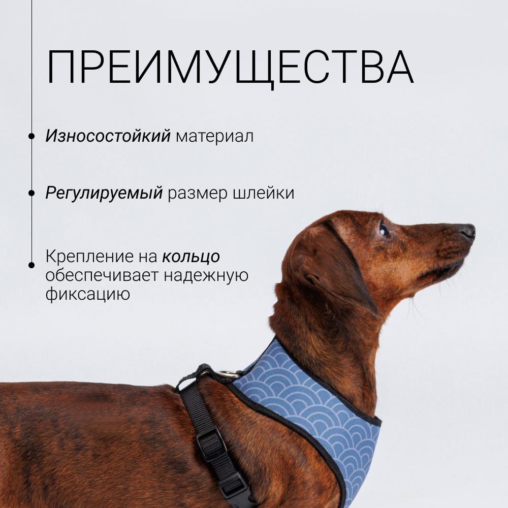 https://storage.yandexcloud.net/pim-core/324395.jpeg
