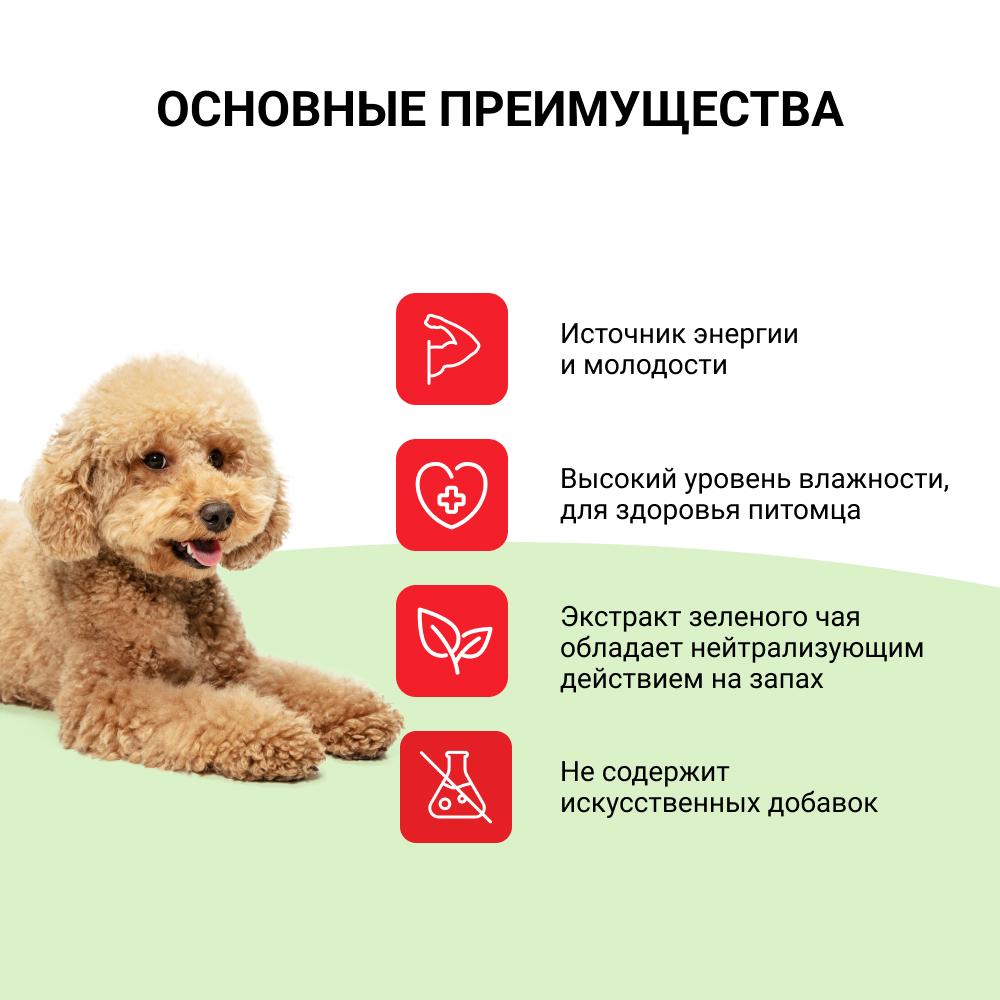 https://storage.yandexcloud.net/pim-core/326121.jpeg