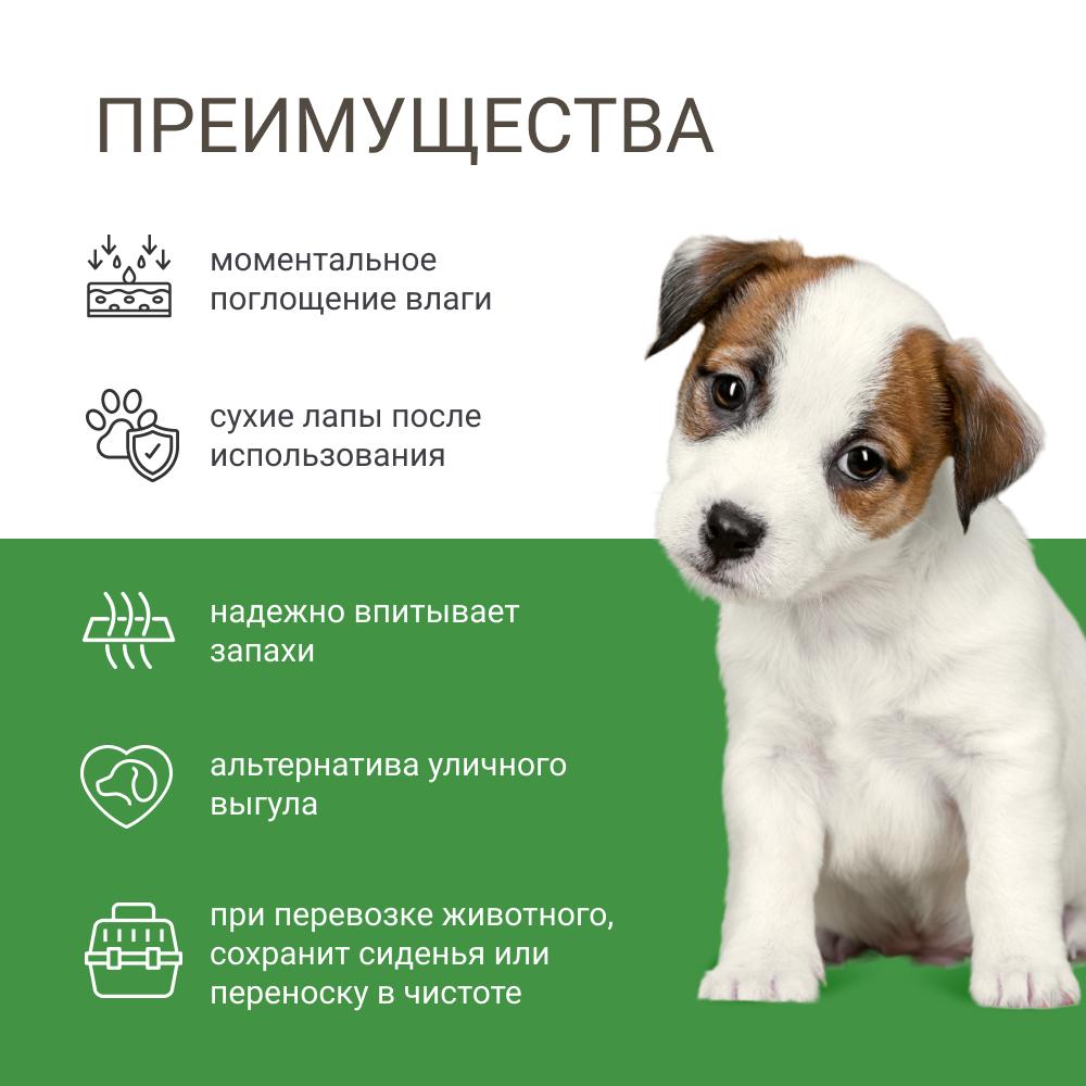 https://storage.yandexcloud.net/pim-core/326628.jpeg
