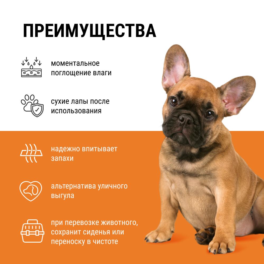 https://storage.yandexcloud.net/pim-core/326708.jpeg