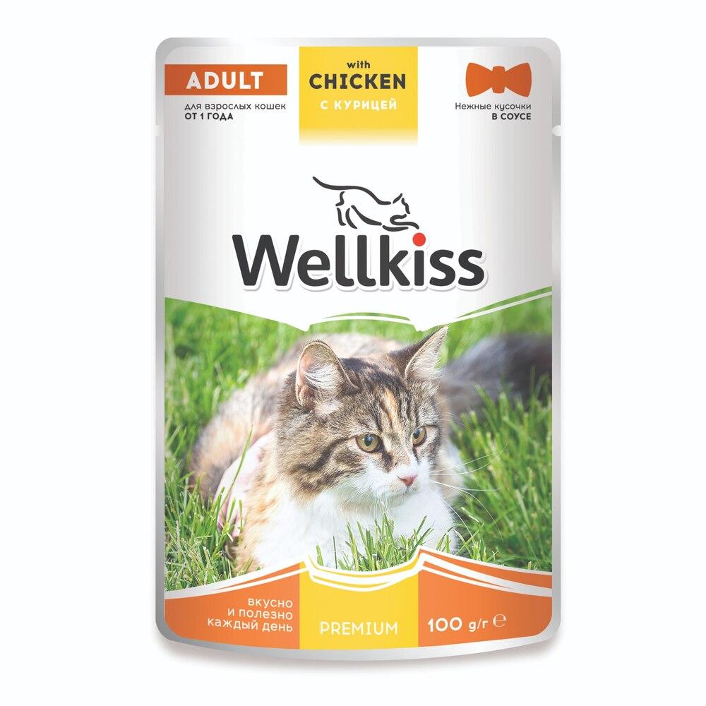 Wellkiss Adult Влажный корм (пауч) для взрослых кошек, с курицей в соусе, 100 гр.