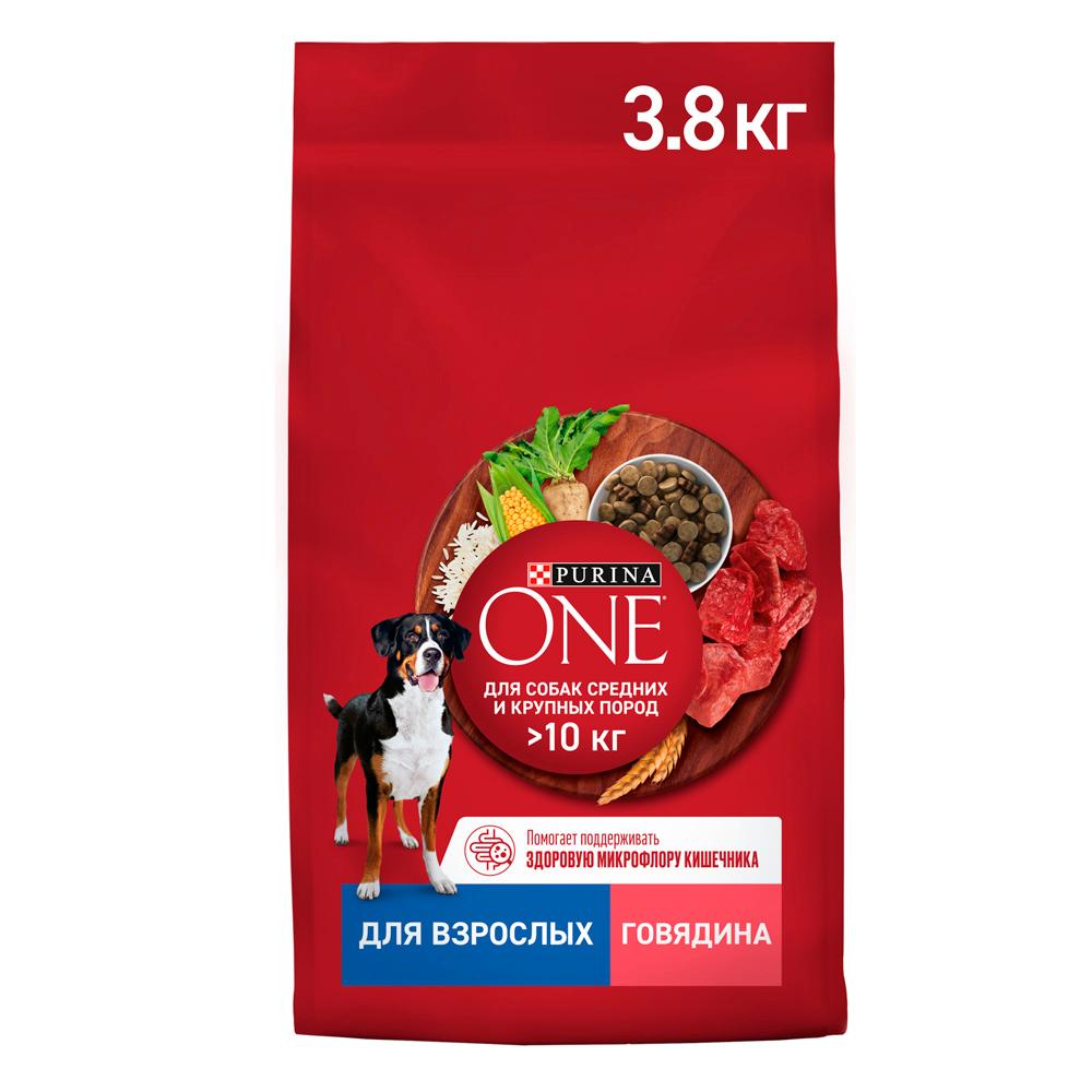 Purina ONE Adult Сухой корм для взрослых собак средних и крупных пород, с говядиной и рисом, 3,8 кг