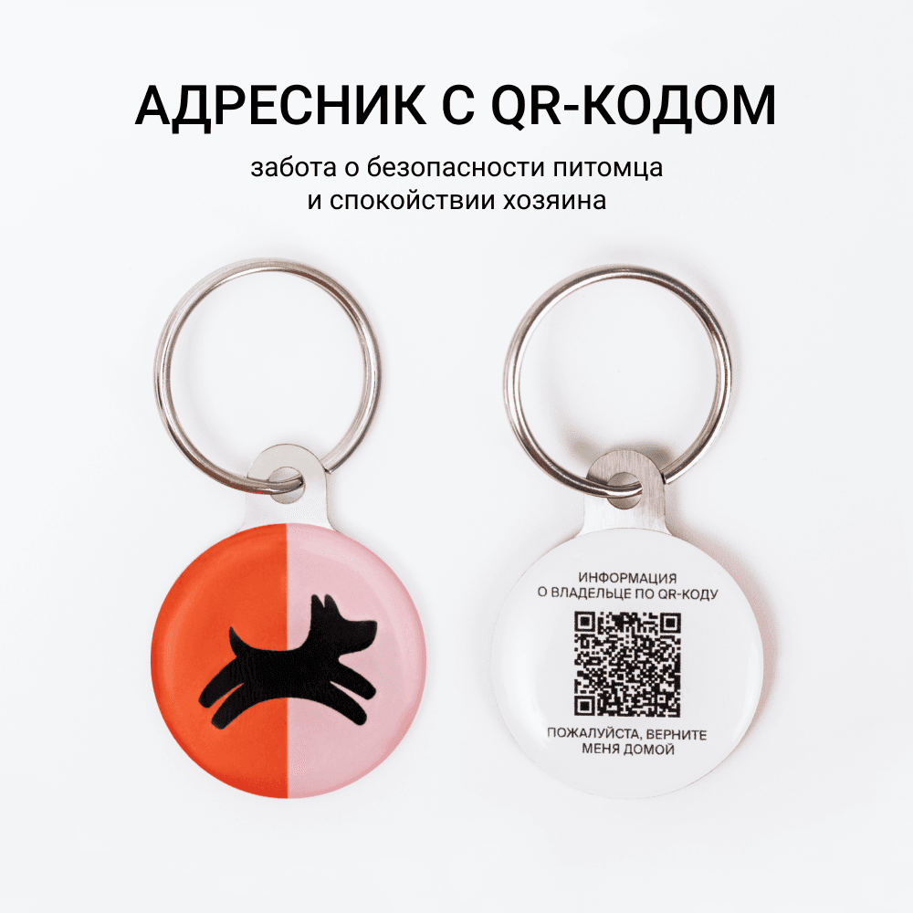 Четыре Лапы Адресник с QR-кодом Четыре Лапы