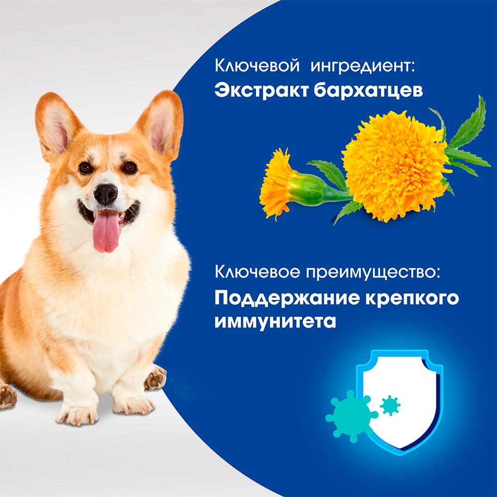 https://storage.yandexcloud.net/pim-core/333159.jpeg