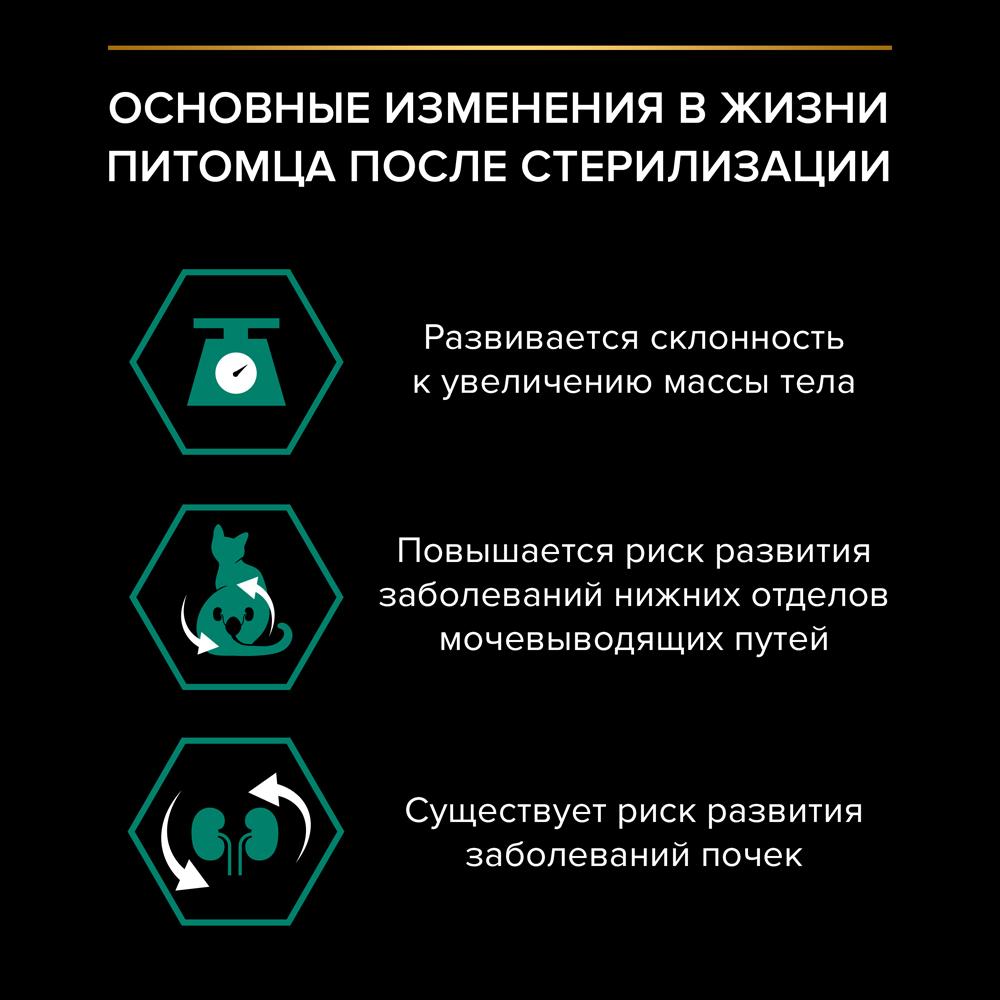 https://storage.yandexcloud.net/pim-core/335327.jpeg