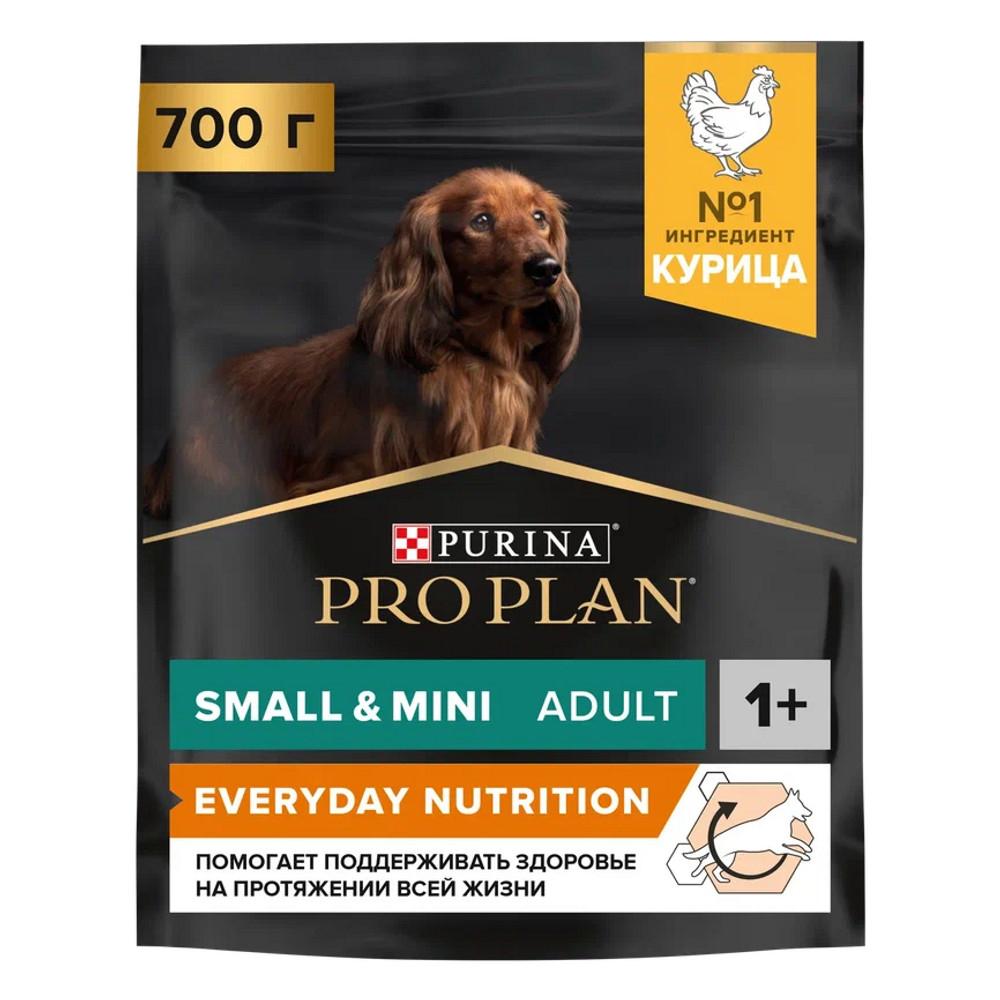 ProPlan Everyday Nutrition Сухой корм для взрослых собак мелких и карликовых пород, с высоким содержанием курицы, 700 гр.