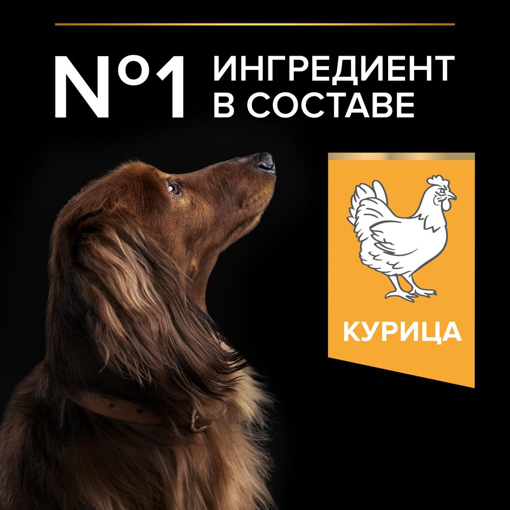 https://storage.yandexcloud.net/pim-core/335637.jpeg