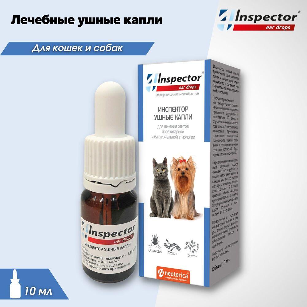 https://storage.yandexcloud.net/pim-core/339189.jpeg