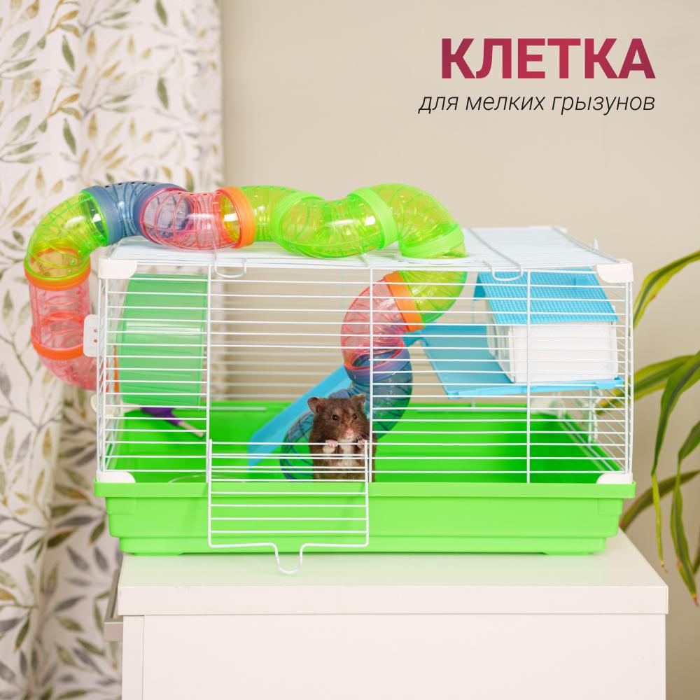 Petmax Клетка для мелких грызунов GRAZIA MINI 47х30х27 см с аксессуарами