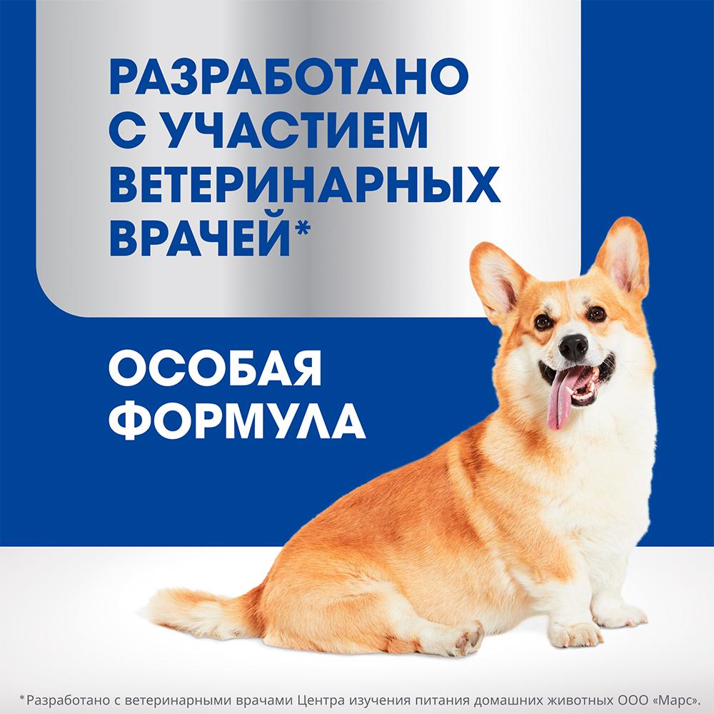 https://storage.yandexcloud.net/pim-core/342830.jpeg