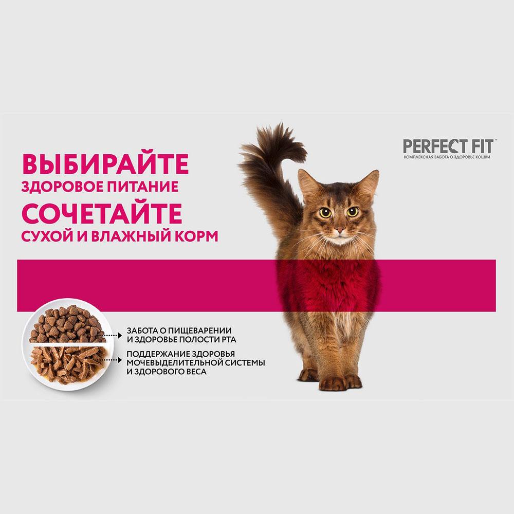 https://storage.yandexcloud.net/pim-core/343435.jpeg