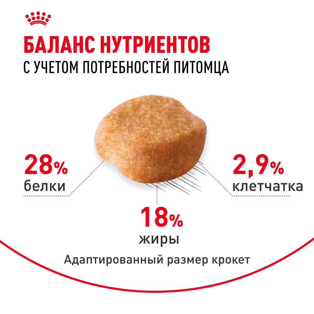 https://storage.yandexcloud.net/pim-core/343624.jpeg