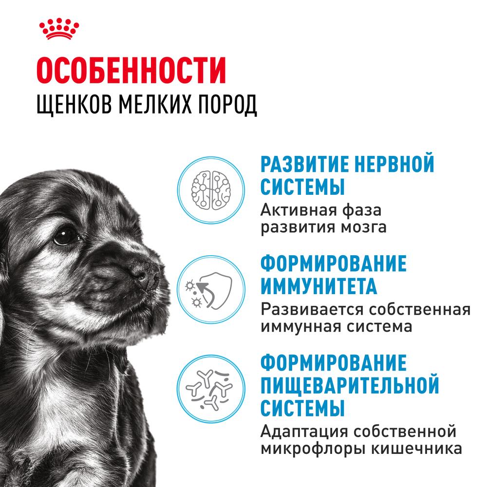https://storage.yandexcloud.net/pim-core/343716.jpeg