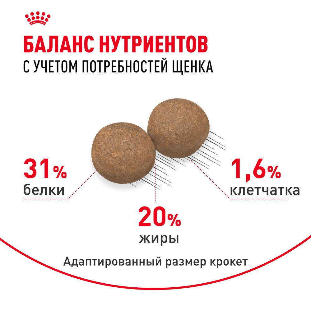 https://storage.yandexcloud.net/pim-core/343718.jpeg