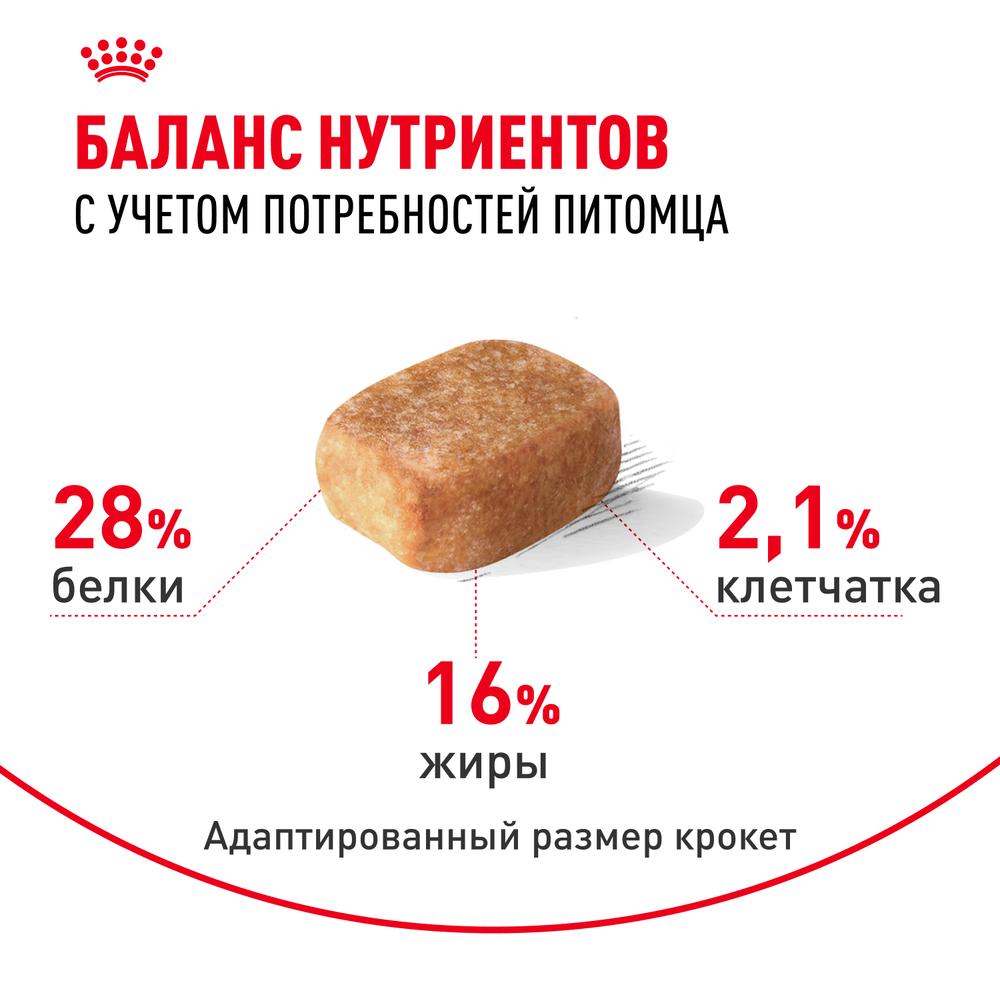 https://storage.yandexcloud.net/pim-core/343964.jpeg