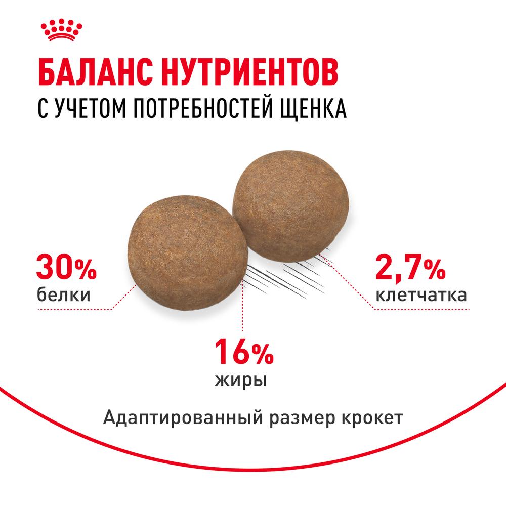 https://storage.yandexcloud.net/pim-core/343987.jpeg