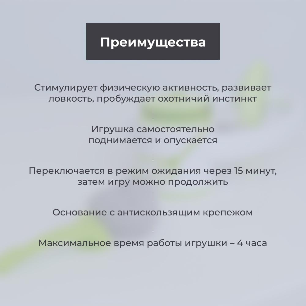 https://storage.yandexcloud.net/pim-core/344145.jpeg