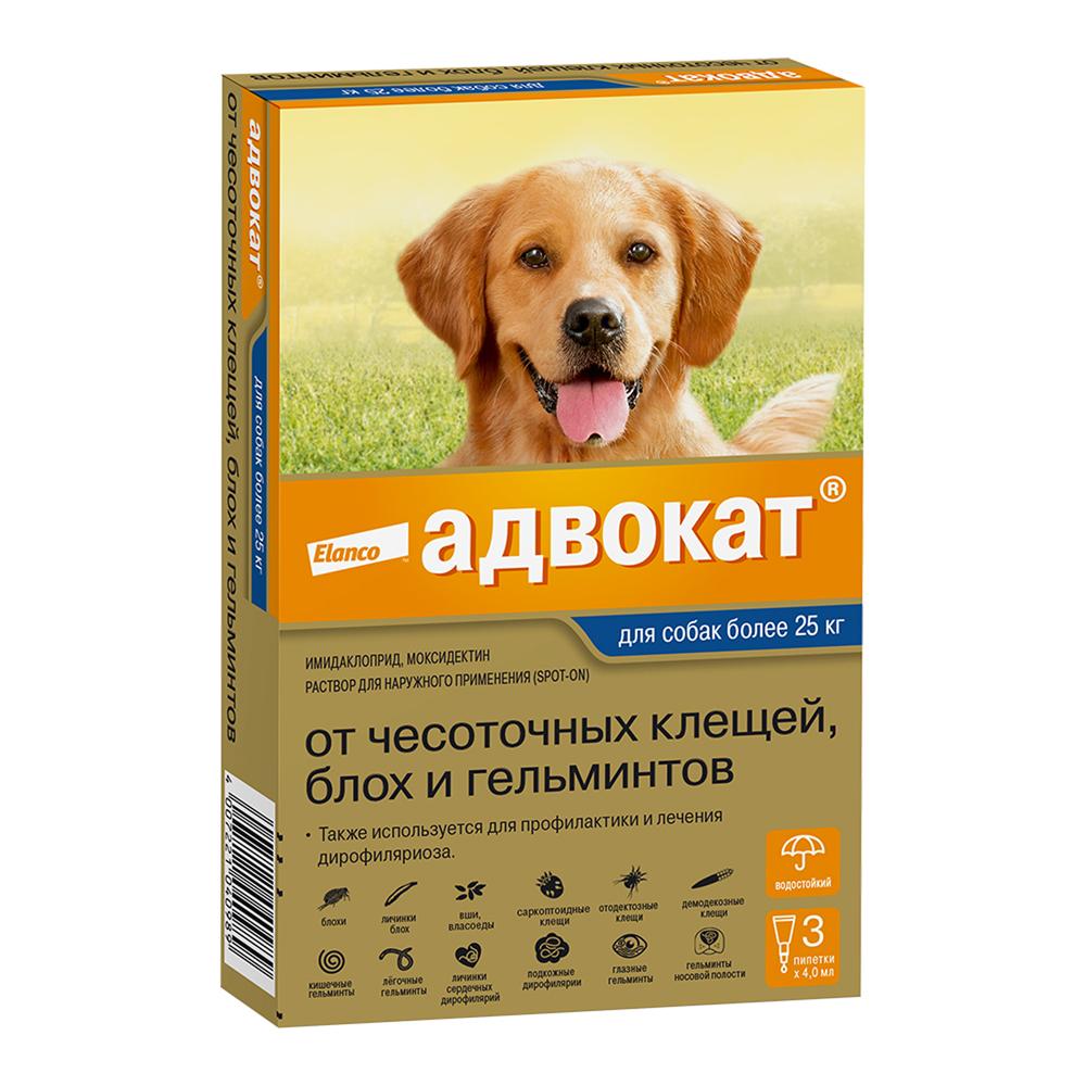 Elanco Адвокат капли на холку для собак весом более 25 кг от чесоточных клещей, блох и гельминтов, 3 пипетки