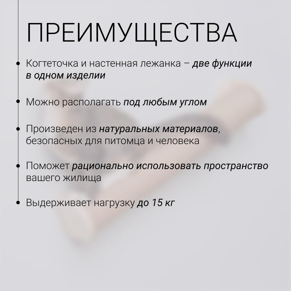 https://storage.yandexcloud.net/pim-core/355562.jpeg