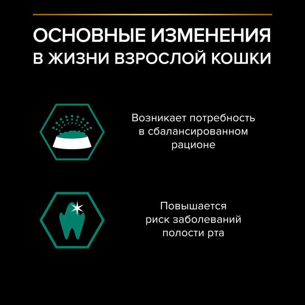 https://storage.yandexcloud.net/pim-core/355944.jpeg