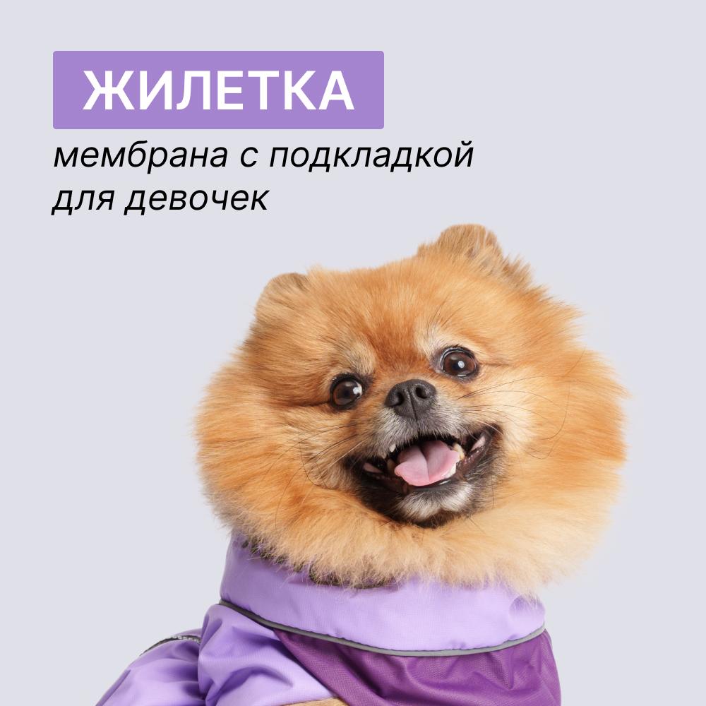 https://storage.yandexcloud.net/pim-core/356096.jpeg