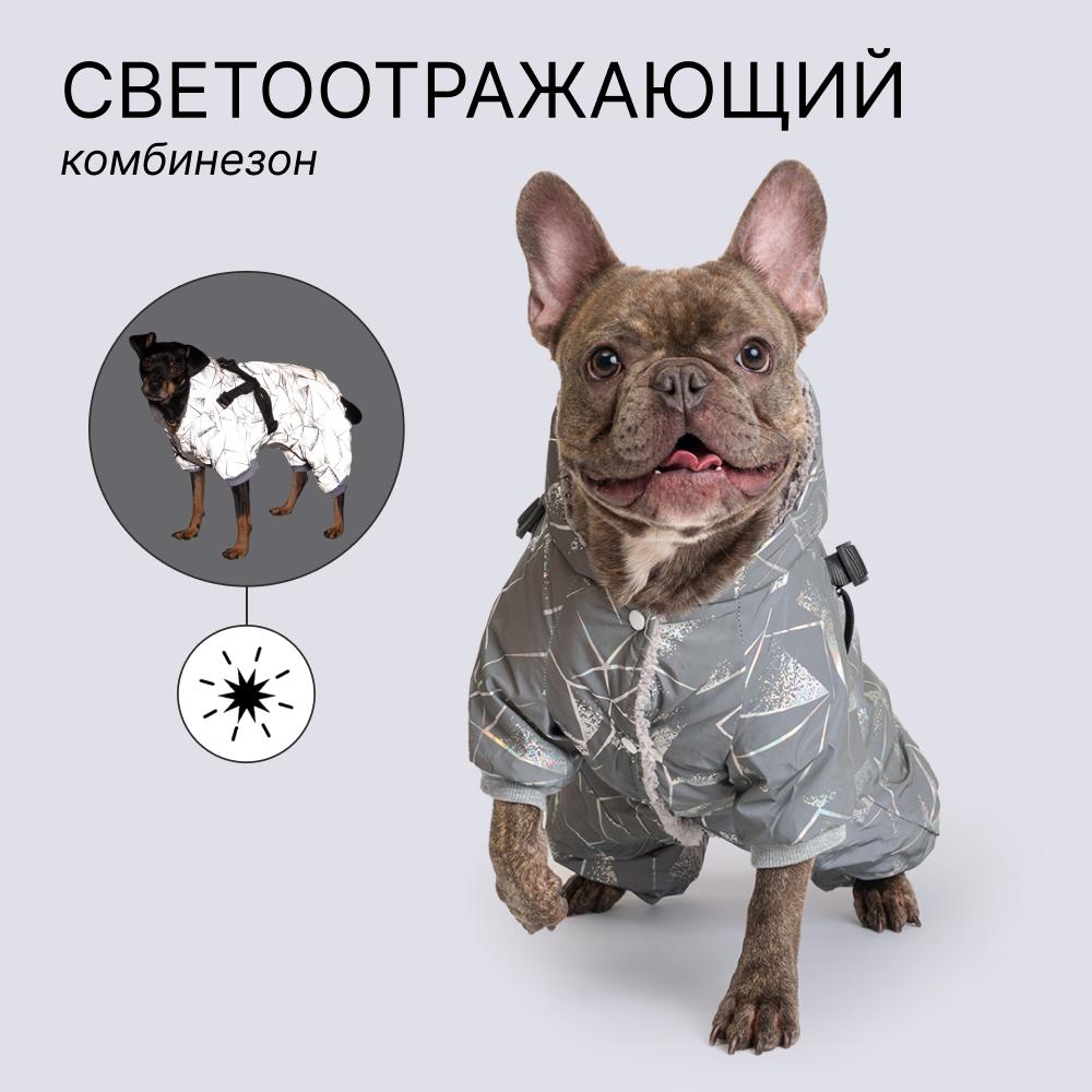 Petmax Комбинезон светоотражающий со шлейкой, 2XL, серый (девочка)