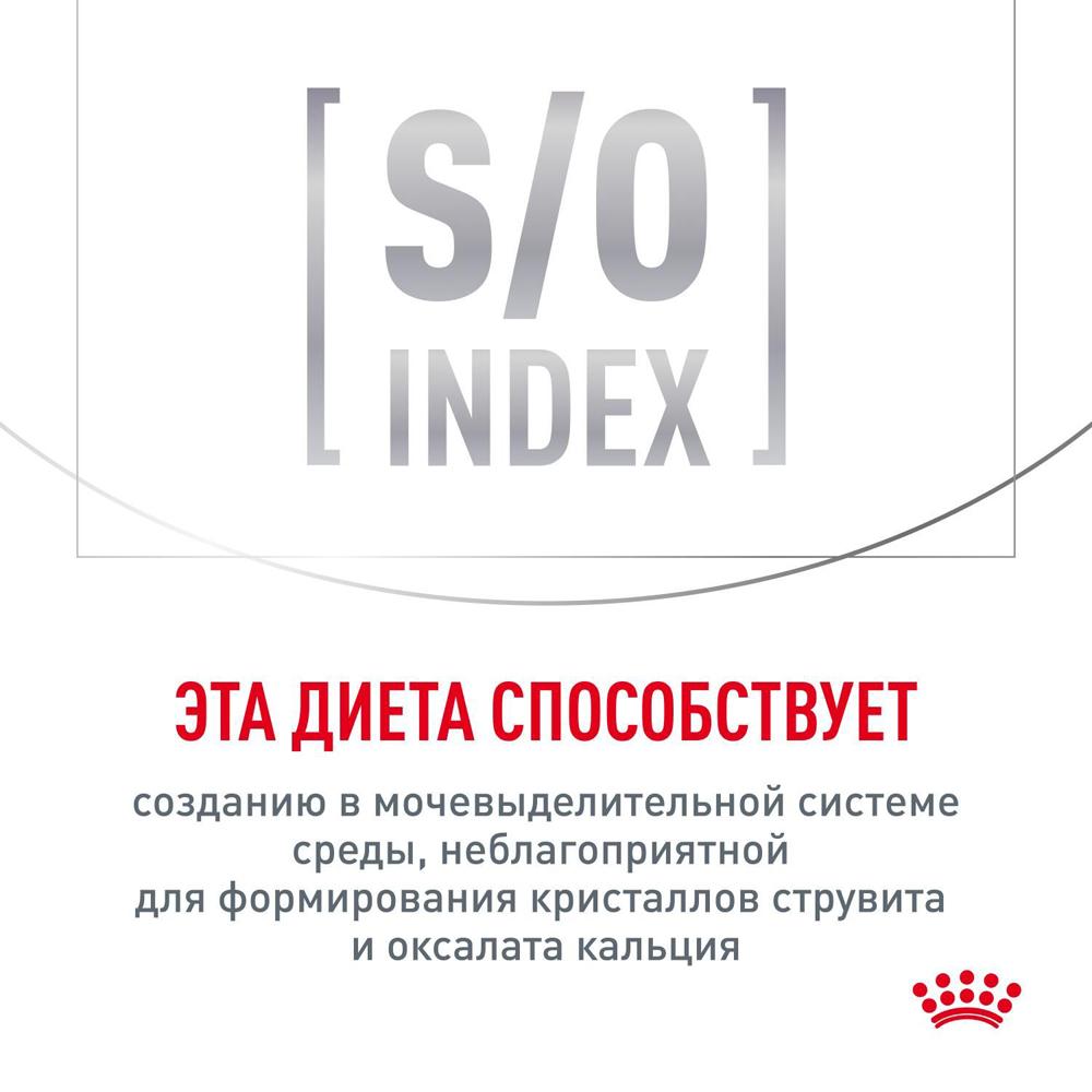 https://storage.yandexcloud.net/pim-core/364645.jpeg