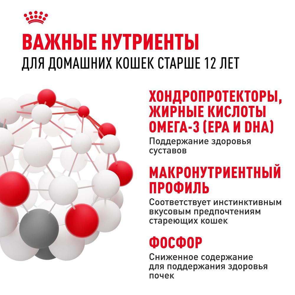 https://storage.yandexcloud.net/pim-core/364750.jpeg