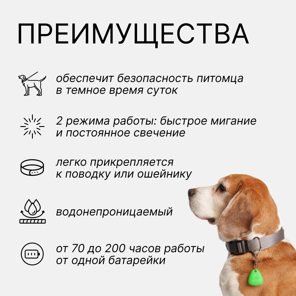 https://storage.yandexcloud.net/pim-core/364904.jpeg