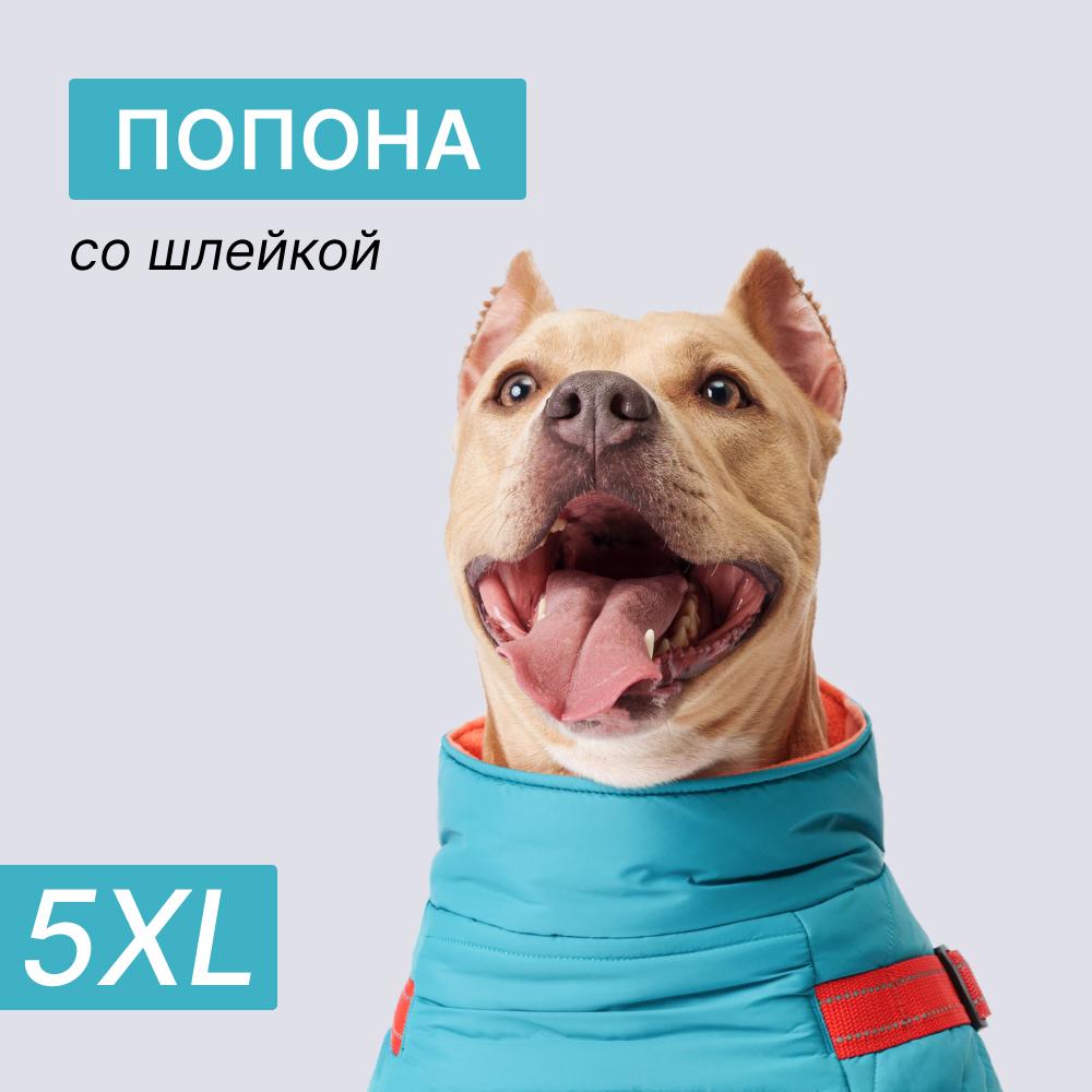 https://storage.yandexcloud.net/pim-core/365042.jpeg