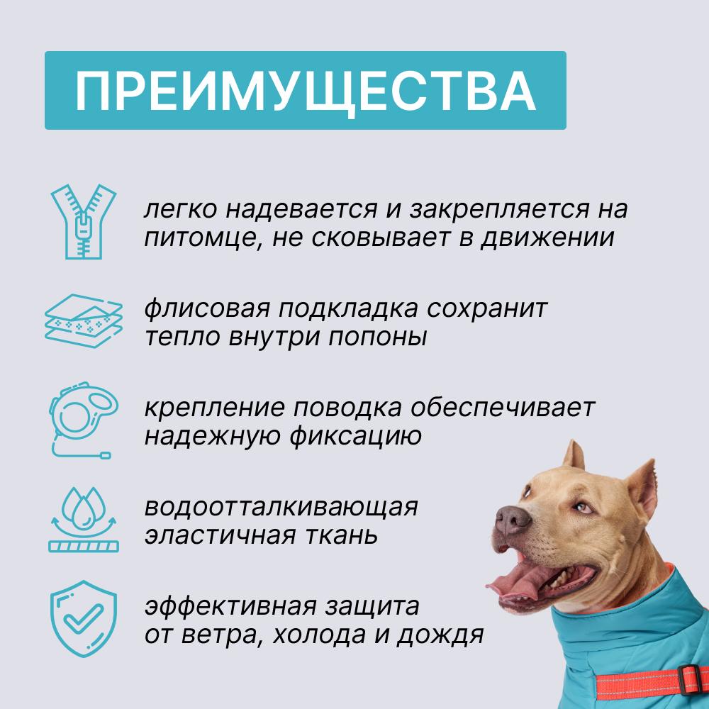https://storage.yandexcloud.net/pim-core/365043.jpeg