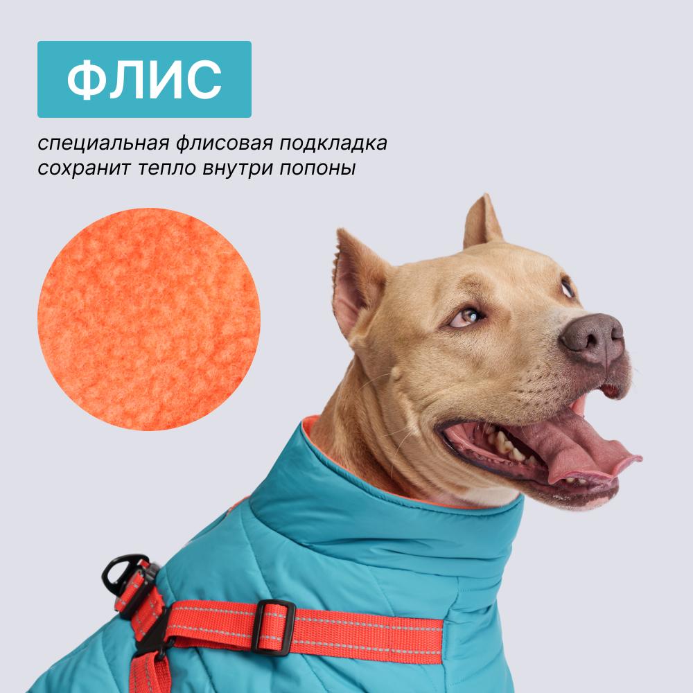 https://storage.yandexcloud.net/pim-core/365046.jpeg