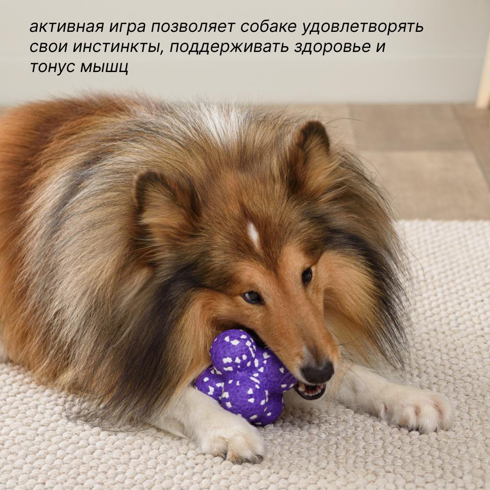 https://storage.yandexcloud.net/pim-core/365294.jpeg