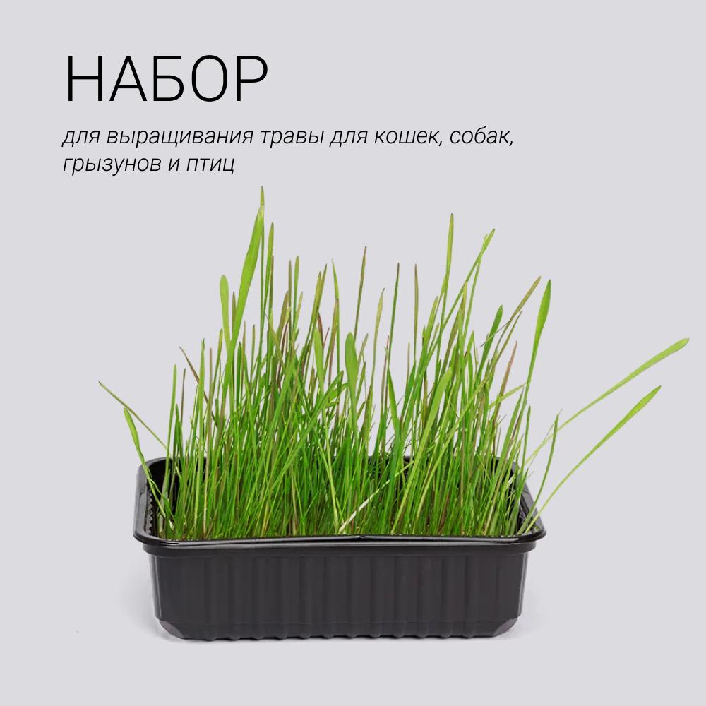 https://storage.yandexcloud.net/pim-core/365468.jpeg