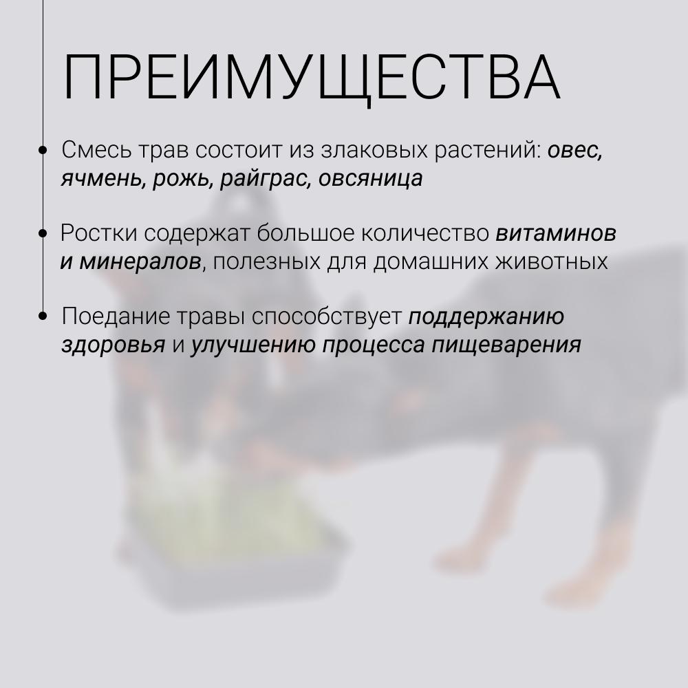 https://storage.yandexcloud.net/pim-core/365469.jpeg