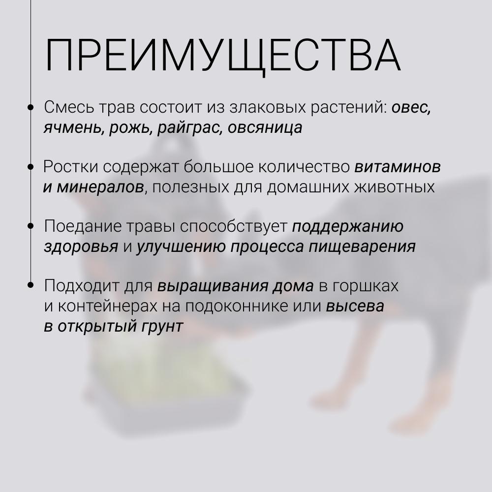 https://storage.yandexcloud.net/pim-core/365485.jpeg