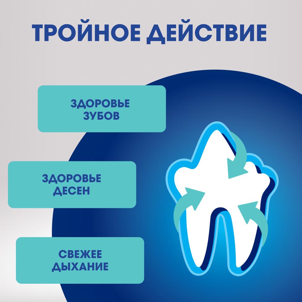 https://storage.yandexcloud.net/pim-core/366179.jpeg