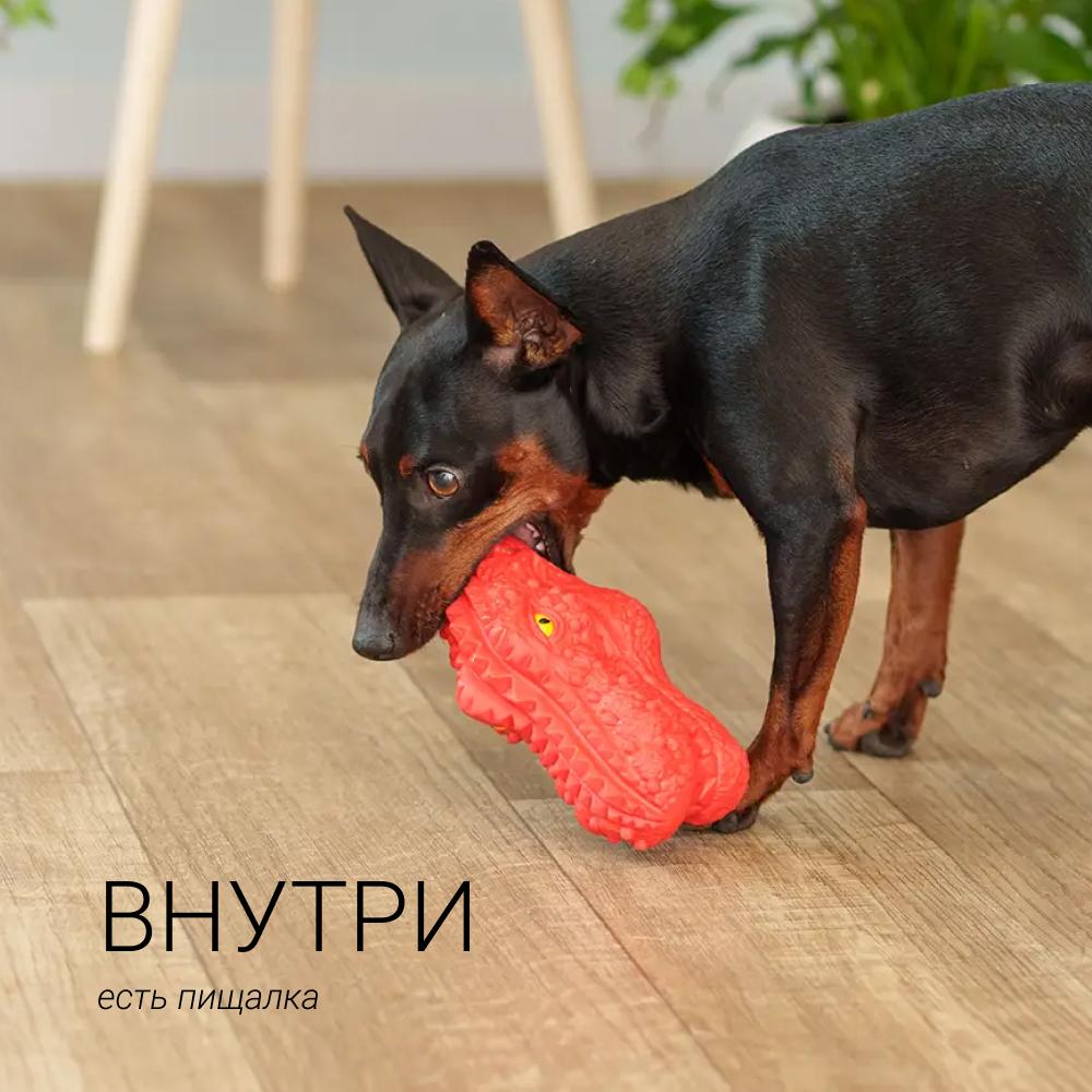 https://storage.yandexcloud.net/pim-core/366777.jpeg