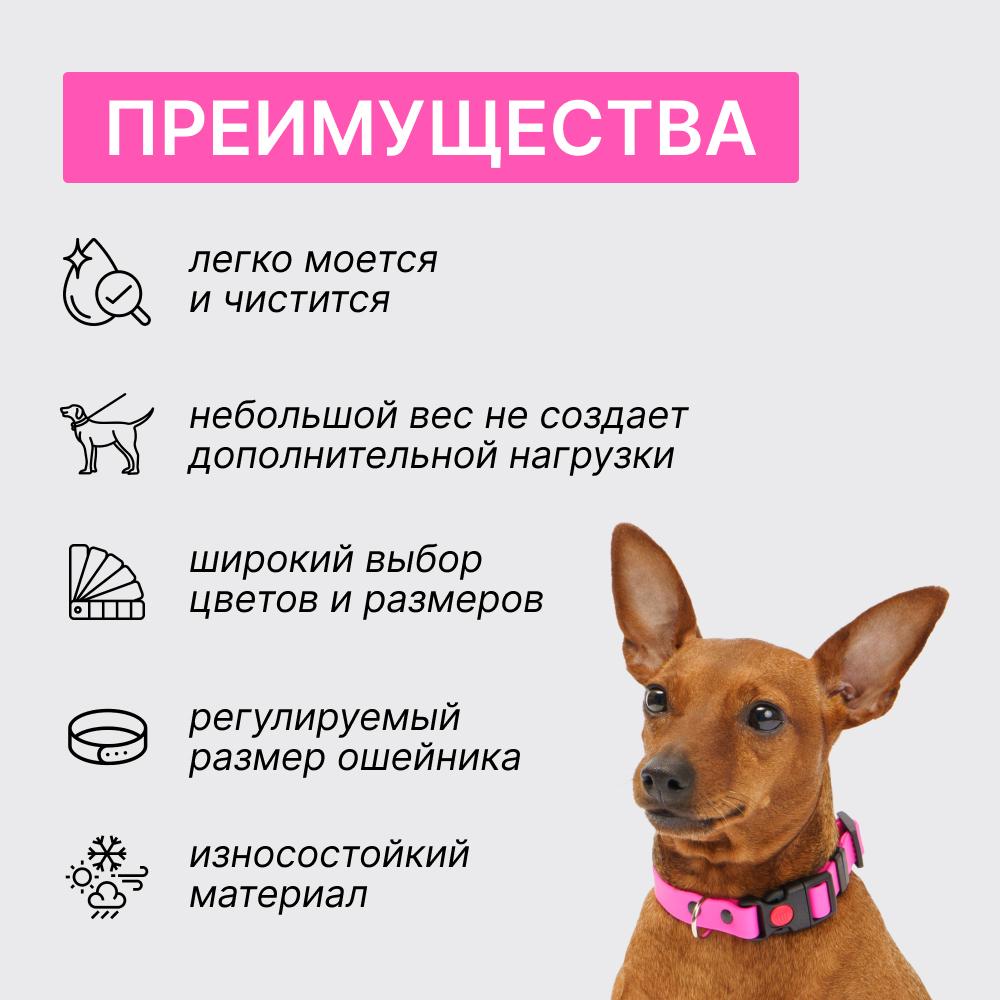 https://storage.yandexcloud.net/pim-core/367088.jpeg