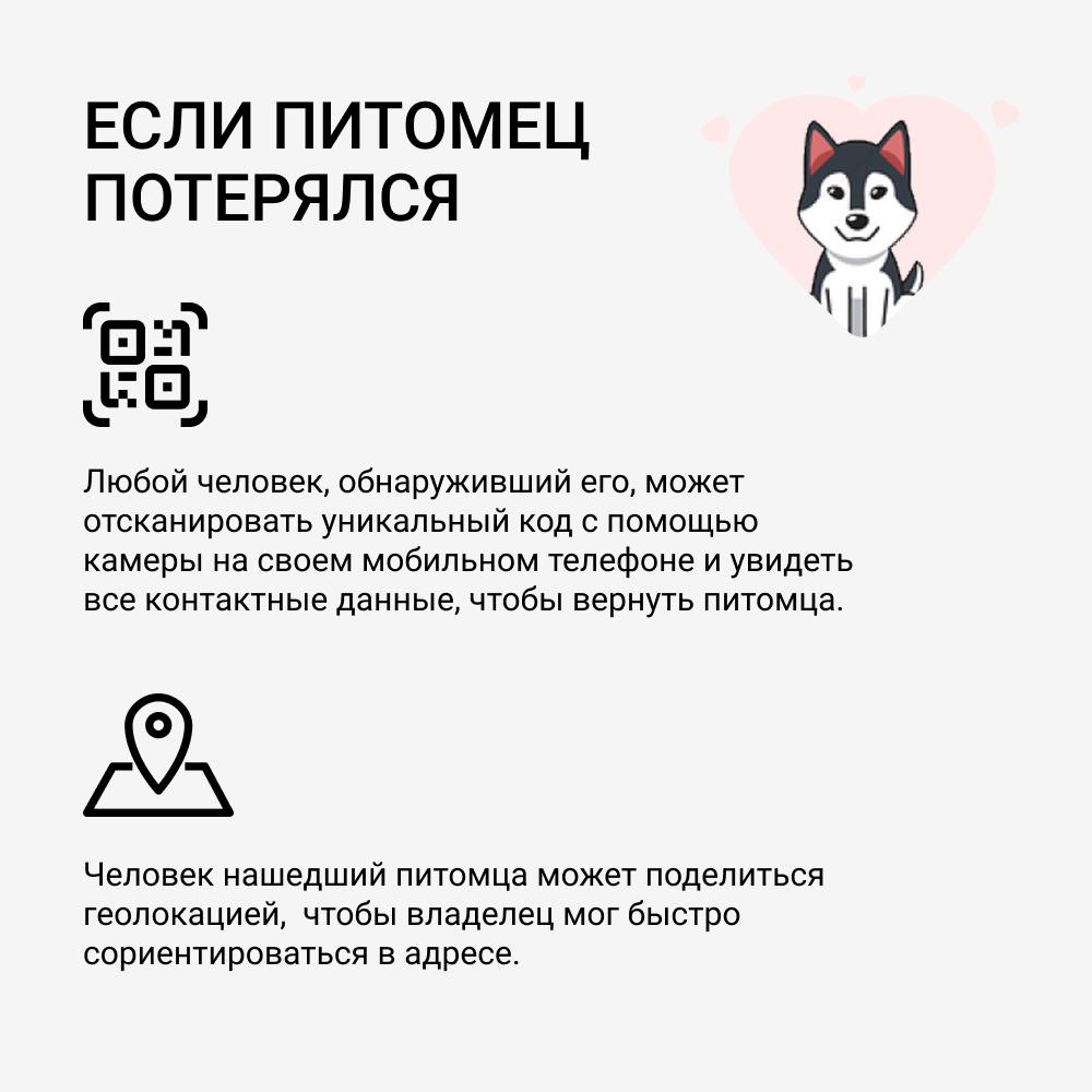https://storage.yandexcloud.net/pim-core/367295.jpeg