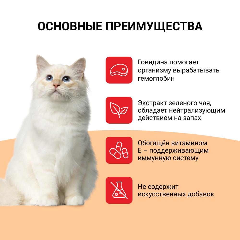 https://storage.yandexcloud.net/pim-core/367407.jpeg