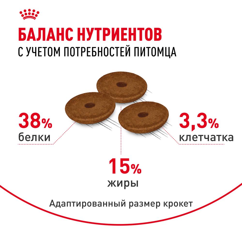 https://storage.yandexcloud.net/pim-core/368599.jpeg
