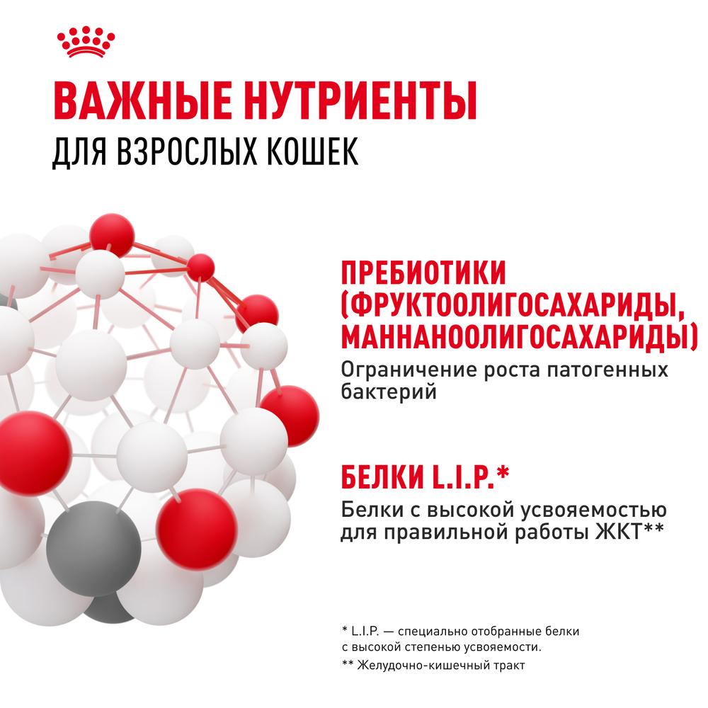 https://storage.yandexcloud.net/pim-core/368600.jpeg