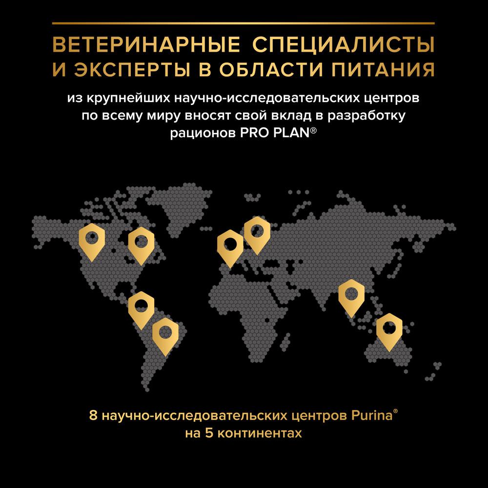 https://storage.yandexcloud.net/pim-core/369058.jpeg