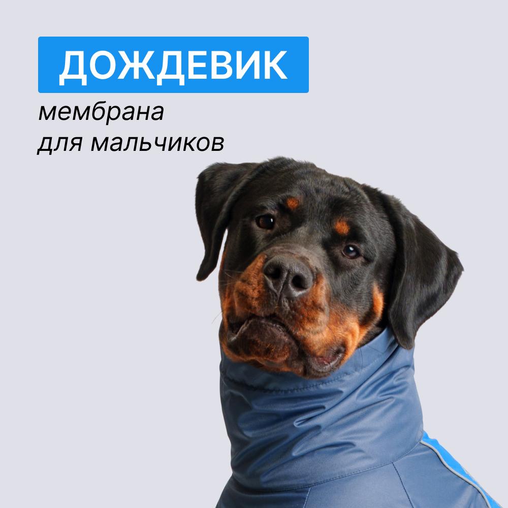 https://storage.yandexcloud.net/pim-core/369456.jpeg