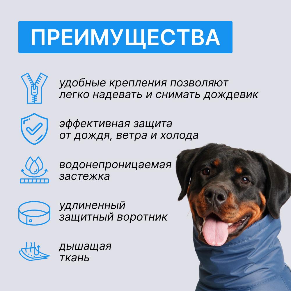 https://storage.yandexcloud.net/pim-core/369457.jpeg